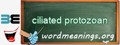 WordMeaning blackboard for ciliated protozoan